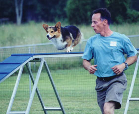 Ace & Ollie
