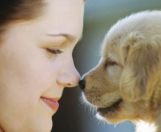 Golden kiss
